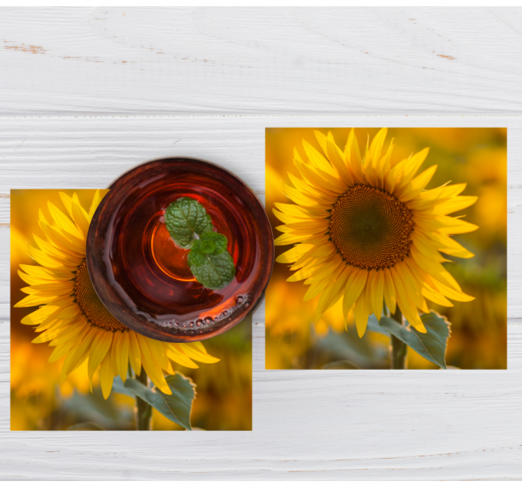 Realistic sunflower coasters - TenStickers