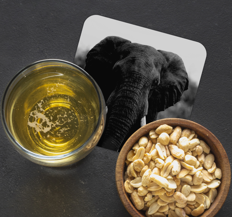 Vintage coasters monochrome elephant portraits - TenStickers