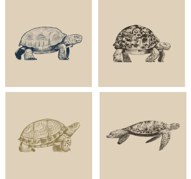Turtle Drawings Beige Background Coaster Set - TenStickers