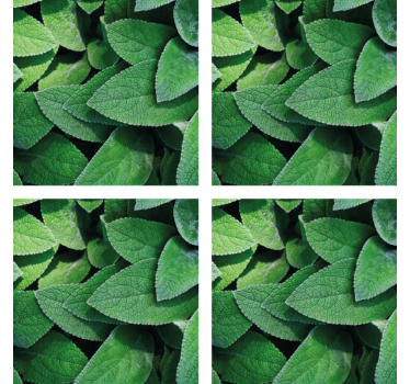 Green leaves texture effect coaster - TenStickers