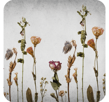 Coasters dried floral arrangement - TenStickers