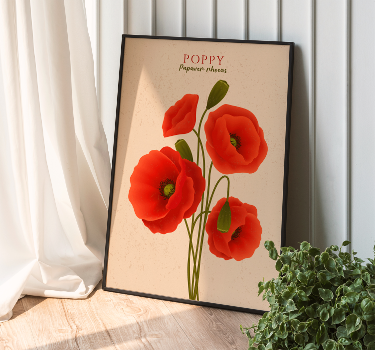 Poppies flower wall poster - TenStickers