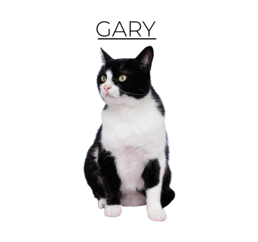 Personalised minimalist design pet poster - TenStickers
