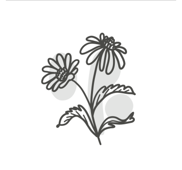 Living room poster with daisy flower line art - TenStickers