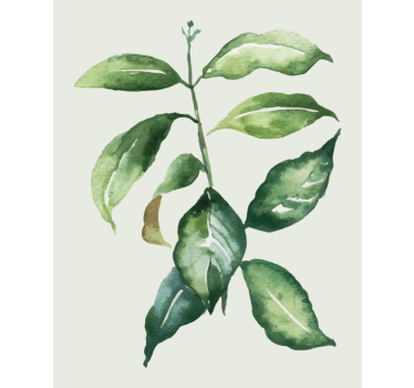 Flowers poster lime palm leaf print - TenStickers
