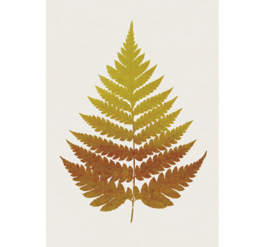 Golden Fern wall poster  - TenStickers