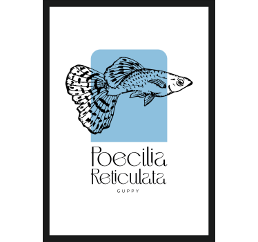 Guppy fish fish poster - TenStickers