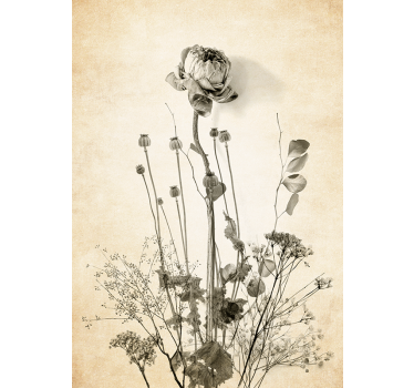 Bouquet of flowers on beige background wall poster - TenStickers