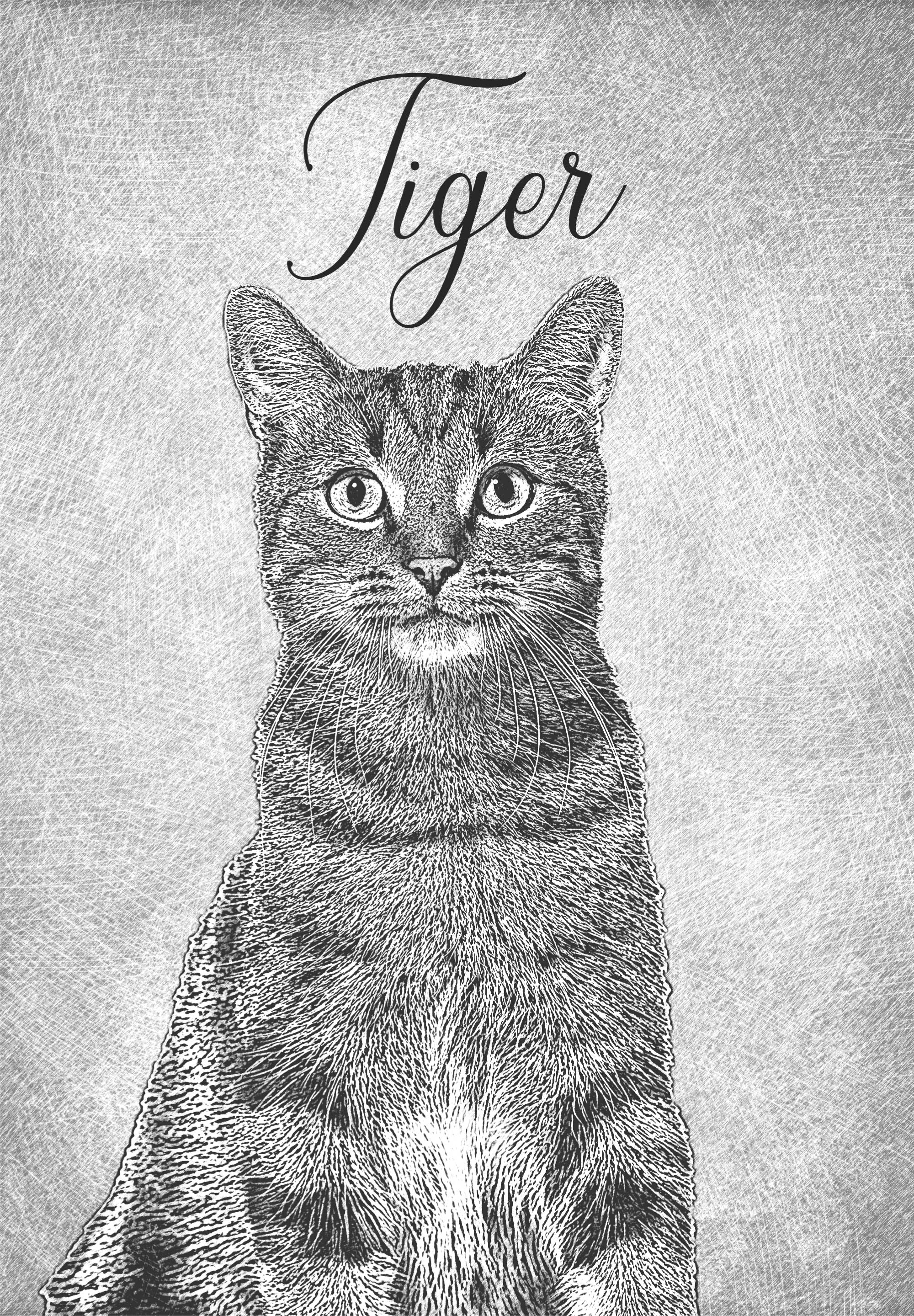 Personalised drawing style pet poster - TenStickers