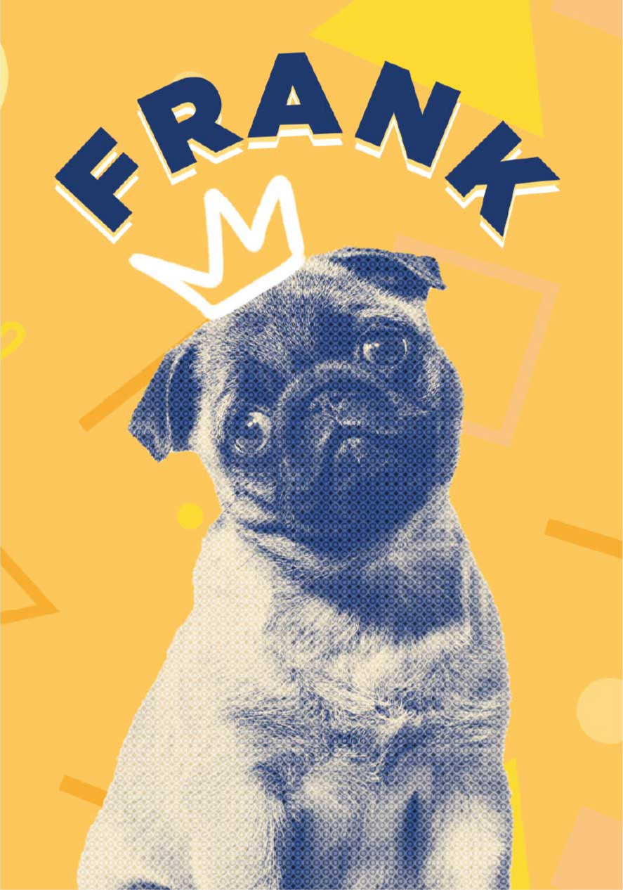 Personalised pop art design pet poster - TenStickers