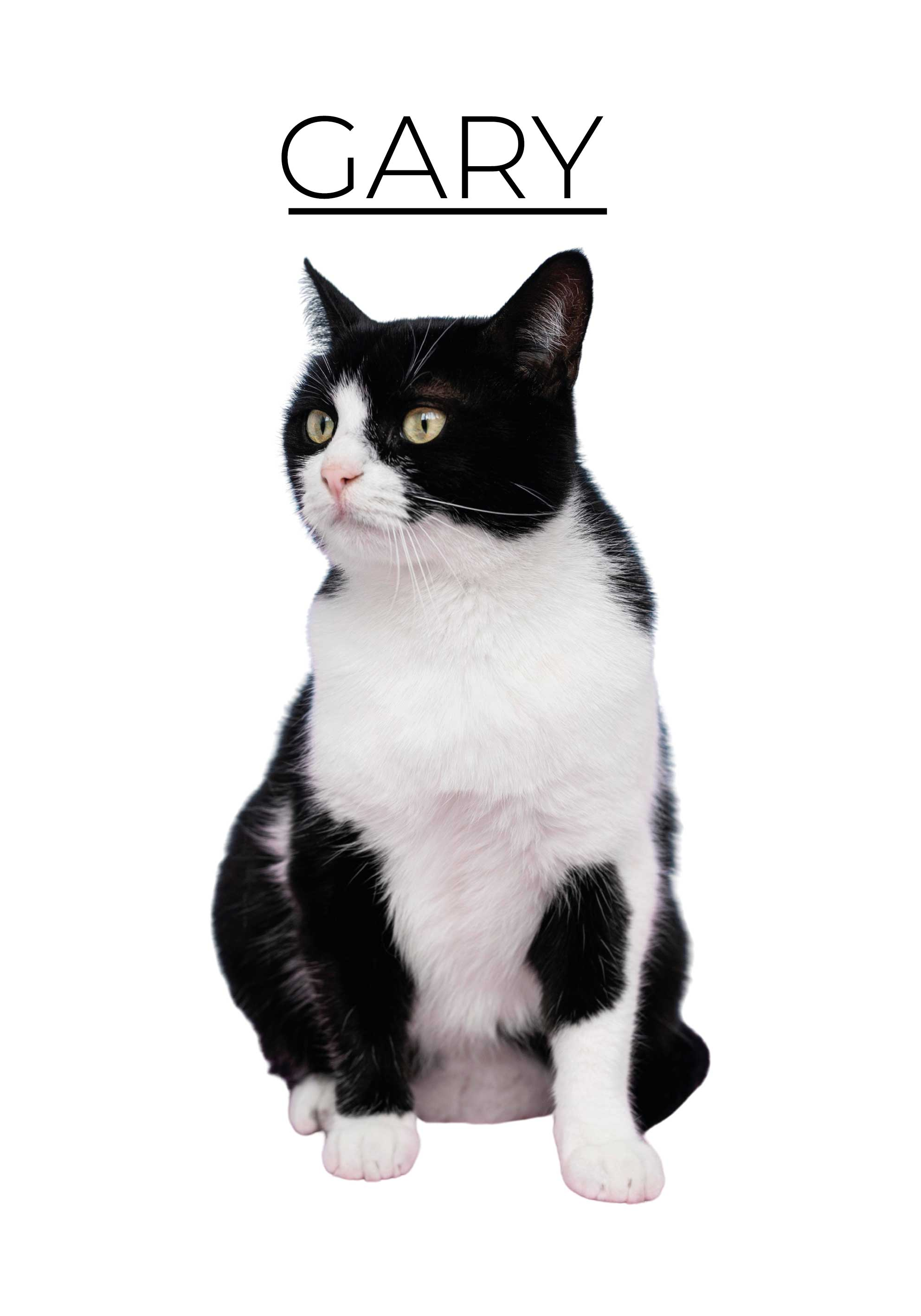 Personalised minimalist design pet poster - TenStickers