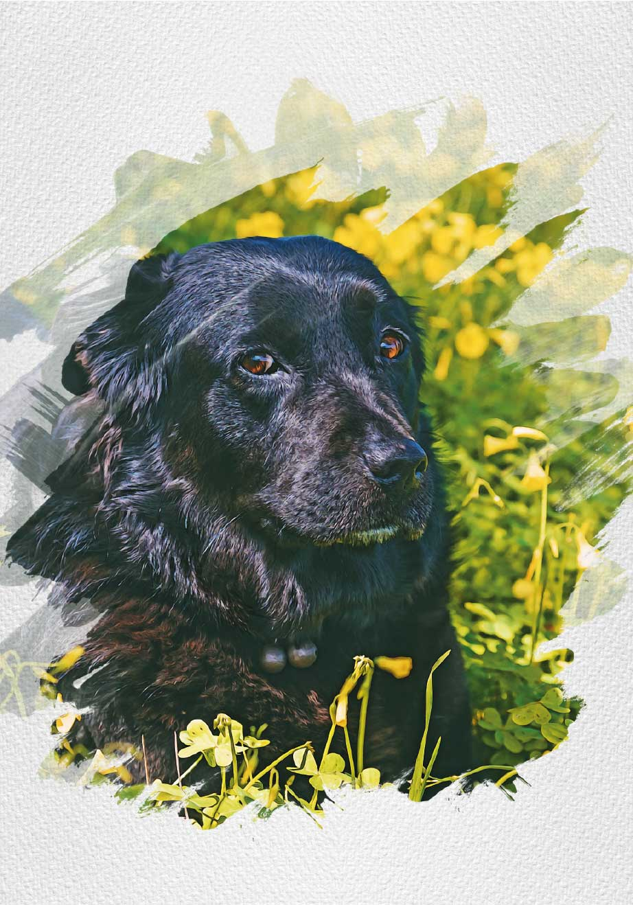 Personalised watercolour effect pet poster - TenStickers