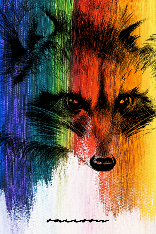 Living room poster rainbow raccoon - TenStickers