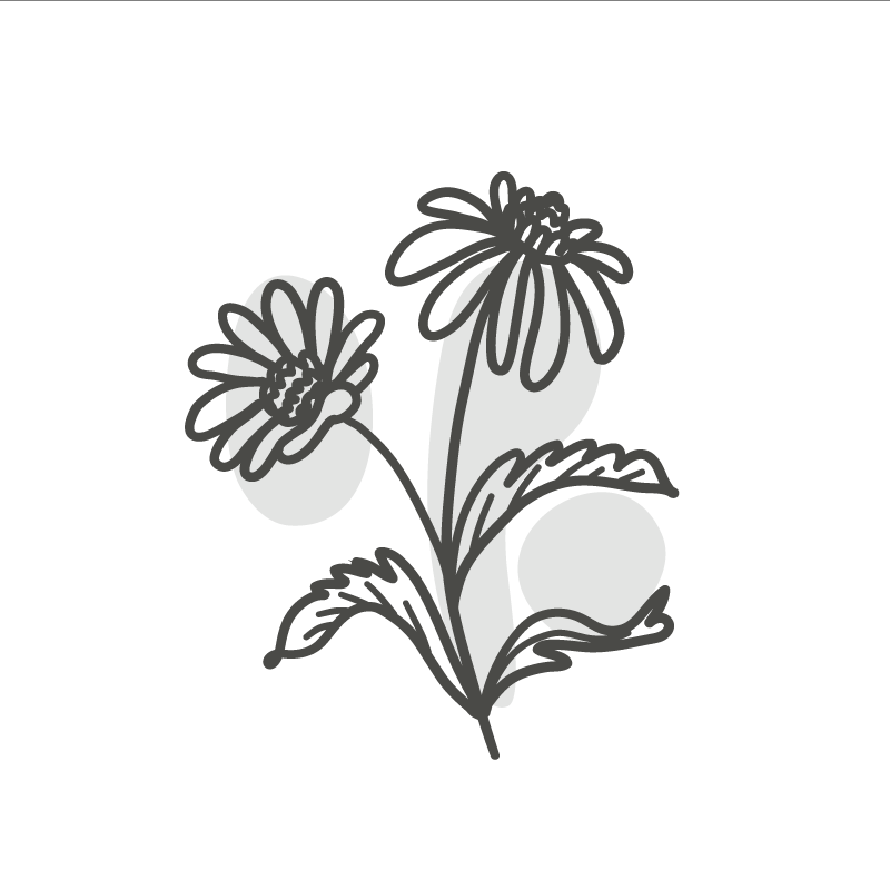 Living room poster with daisy flower line art - TenStickers