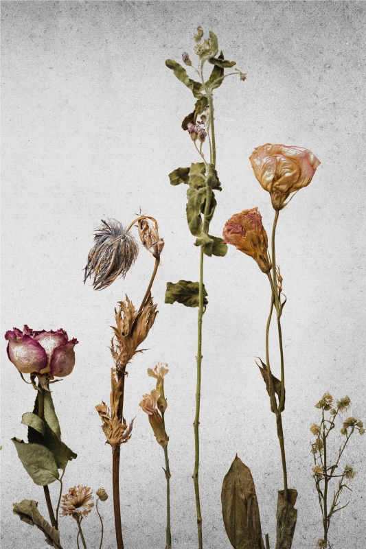 Flowers poster dried flower arrangement art print - TenStickers