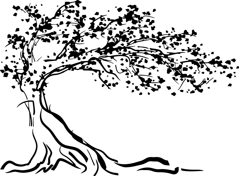 Tree poster decorative vinyl with wind - TenStickers