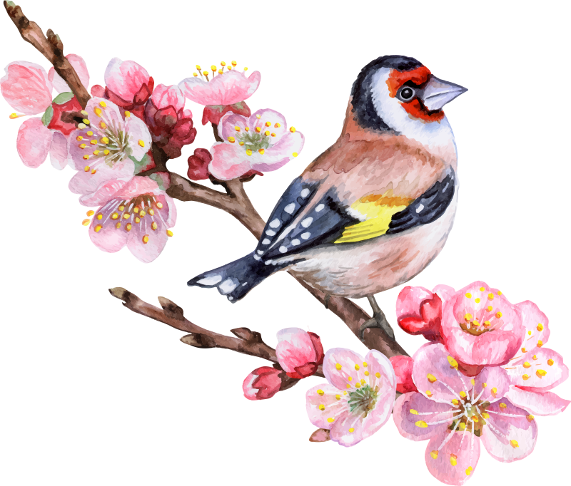 Tree poster with spring branches and birds - TenStickers