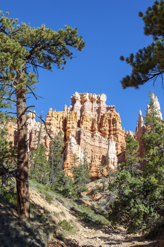 Bryce canyon landscape poster - TenStickers