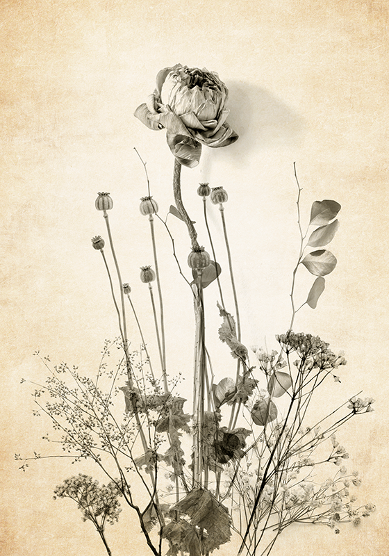 Flower poster bouquet of flowers on beige background - TenStickers