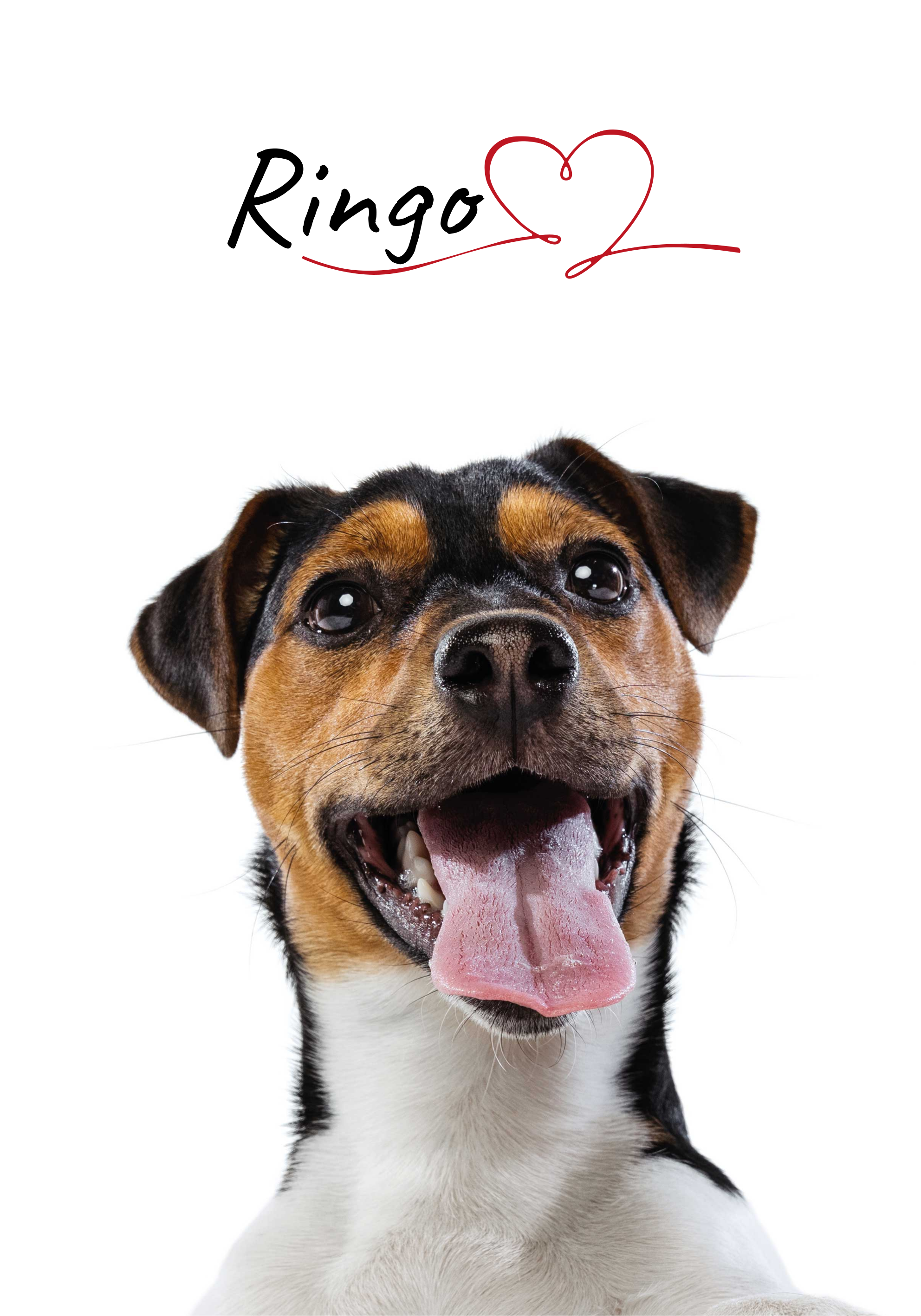 Custom dog love poster for wall - TenStickers