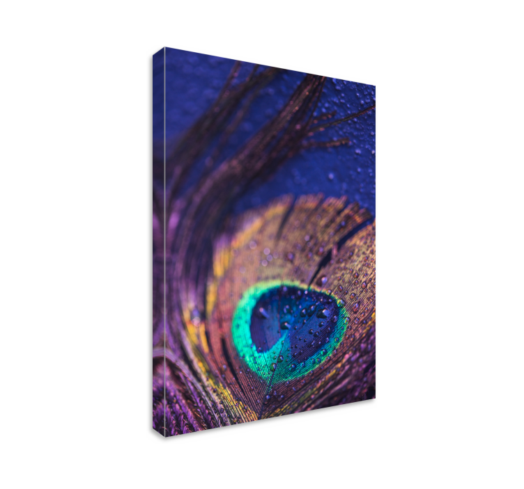 plumas multicolor feather canvas wall art - TenStickers