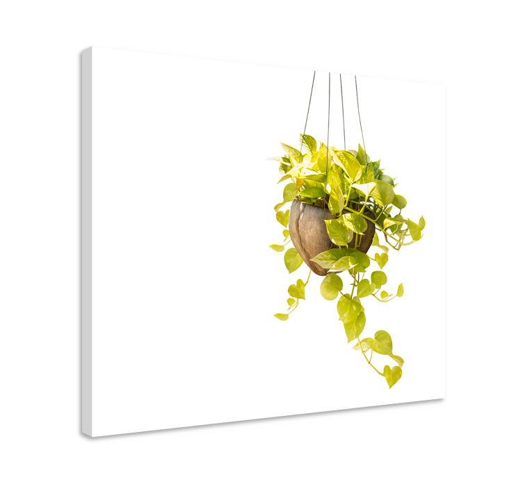 Hanging Basket Plant canvas prints - TenStickers