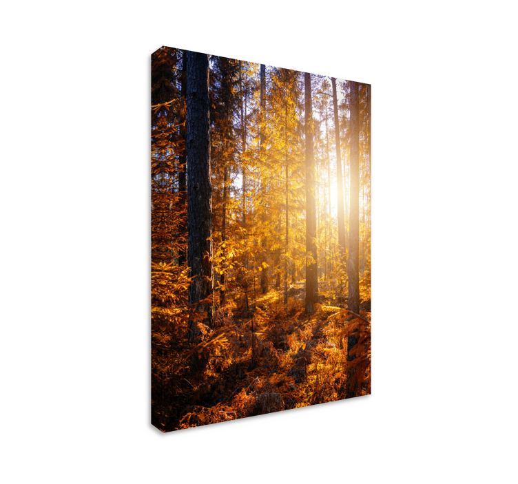 forest sun trees landscape canvas - TenStickers