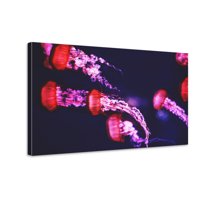 Jellyfish design animal canvas prints - TenStickers