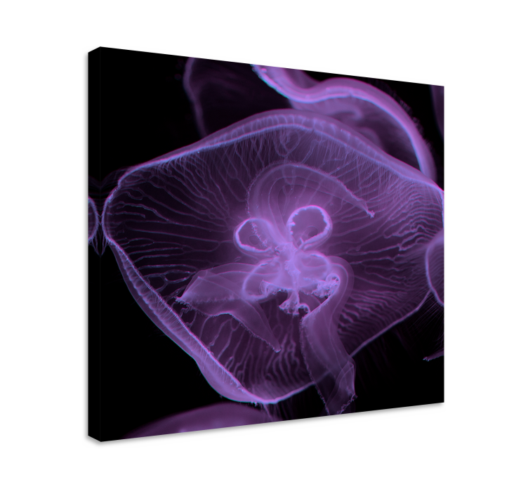 Jellyfish art animal canvas prints - TenStickers