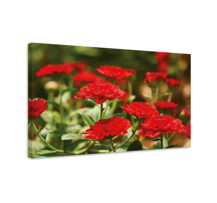 Red flower blooms flowers canvas - TenStickers