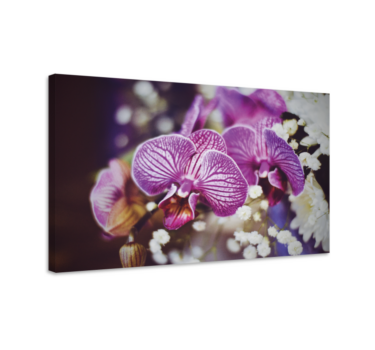 Flowers canvas orchid bloom details - TenStickers
