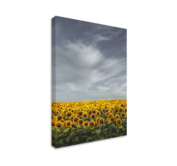 Long sunflower field flower canvas - TenStickers