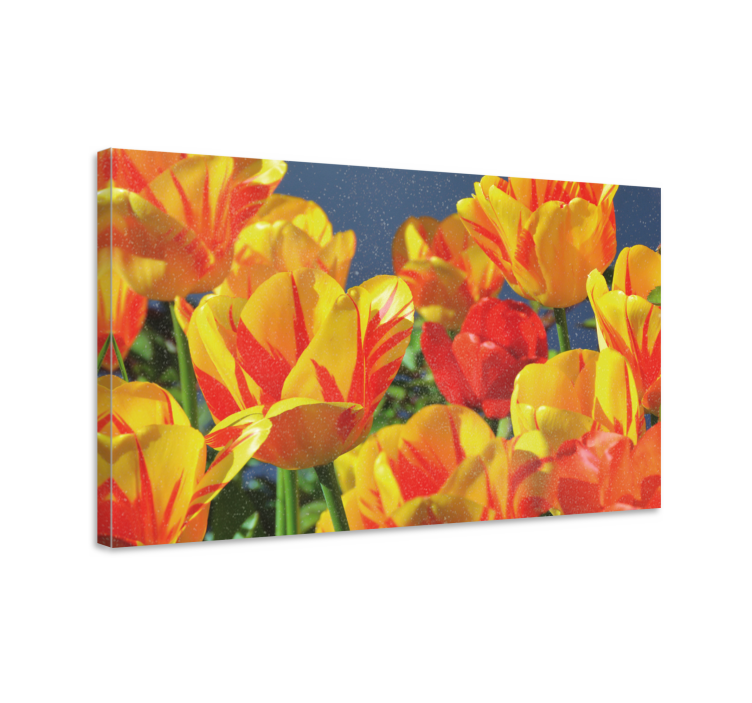 Flowers canvas vibrant tulip blossoms art print - TenStickers