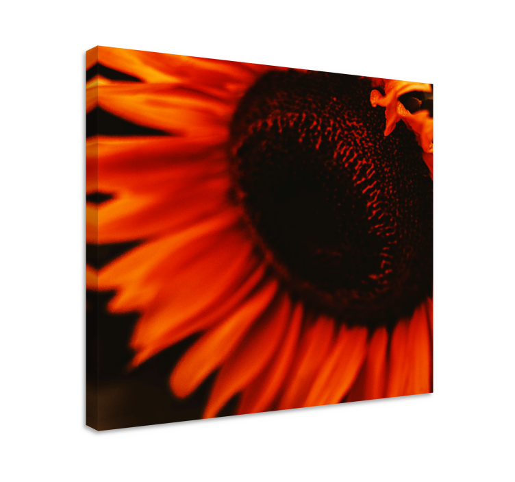 Radiant Sunflower Bloom Flowers  canvas - TenStickers