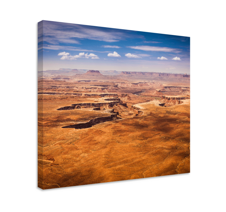 Landscape canvas desert canyon vista - TenStickers
