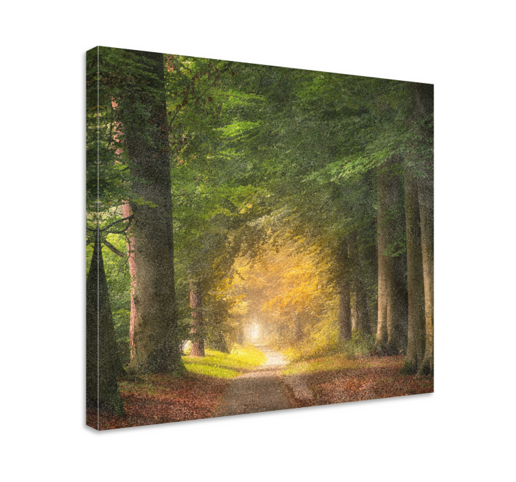 Landscape canvas woodland trail serenity - TenStickers