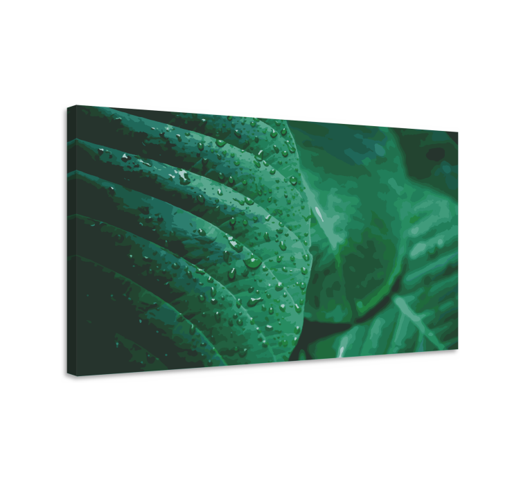 Rain water on leaves Plant canvas prints - TenStickers