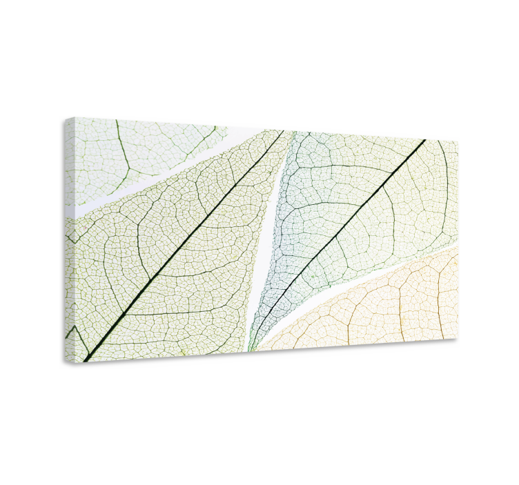 Flowers canvas with intricate leaf designs - TenStickers