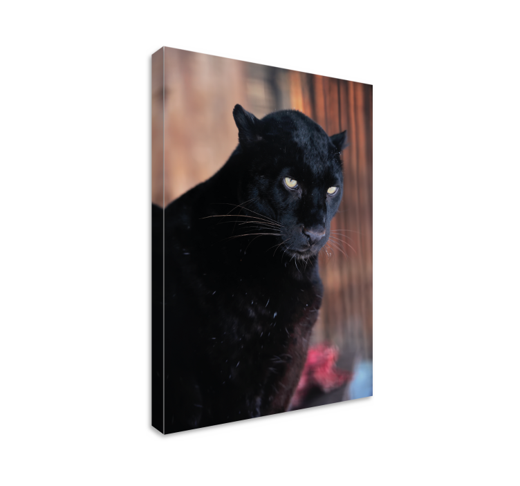 Leopard stalking 3D canvas prints - TenStickers