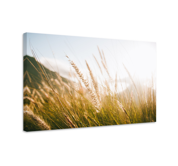 Flowers canvas golden grass fields - TenStickers