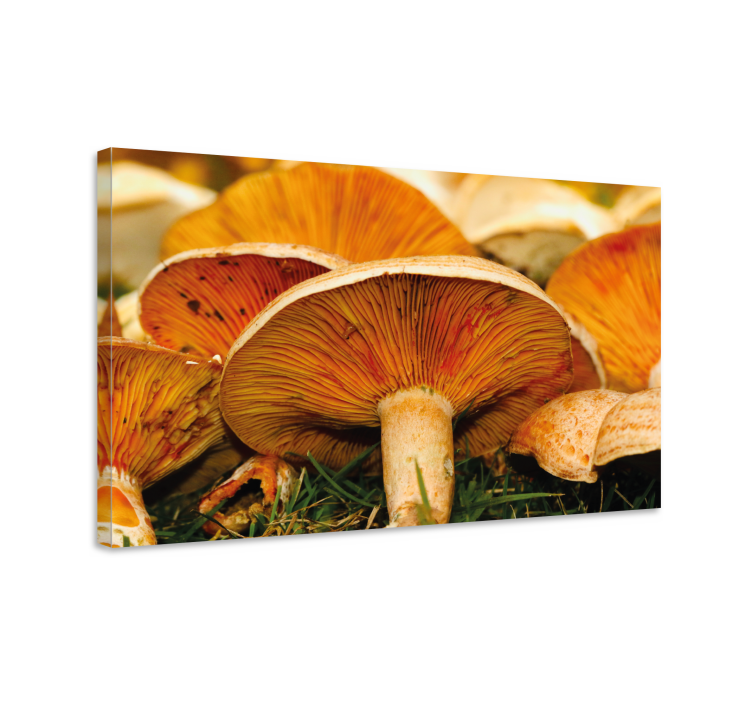 Flowers canvas with whimsical mushroom design - TenStickers