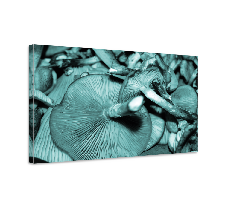 Flowers canvas mushroom bloom - TenStickers