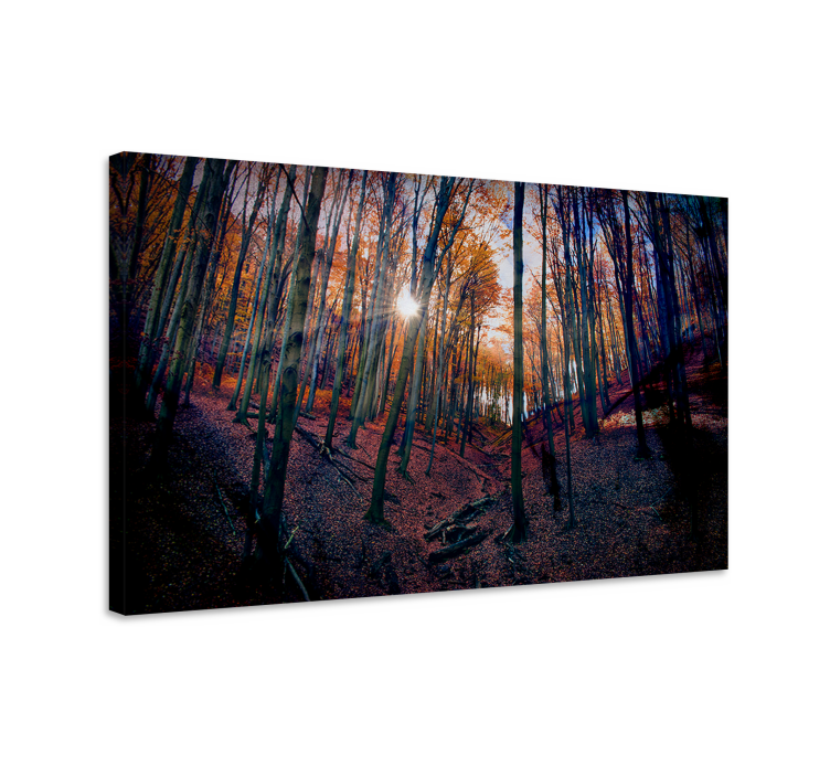 Landscape canvas autumn forest radiance - TenStickers