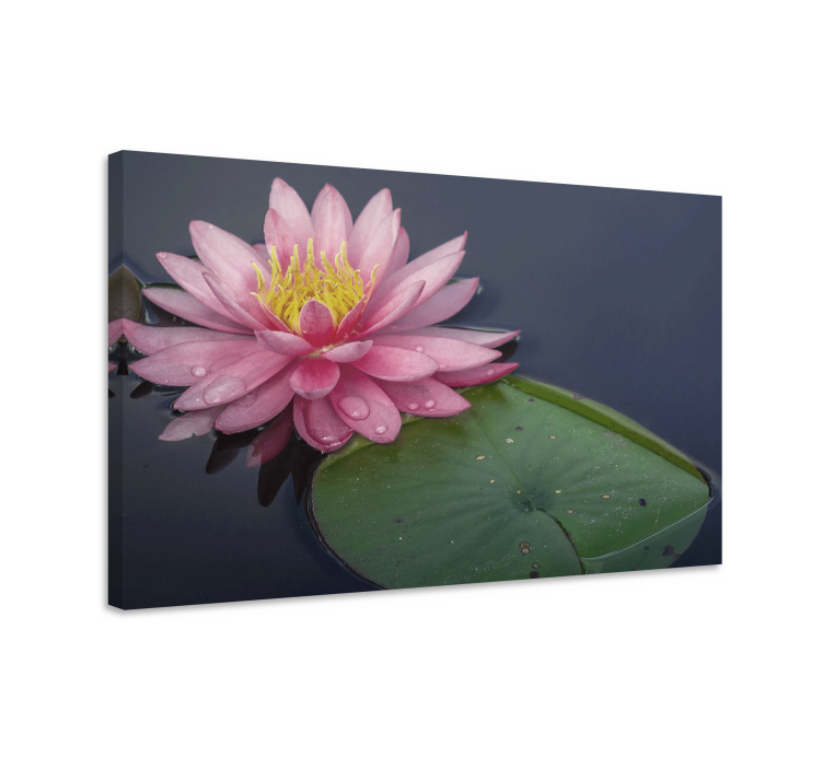 Flowers canvas water lily blossom art print - TenStickers