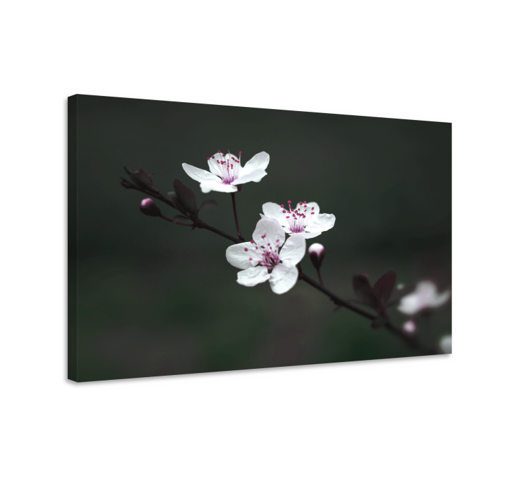 Flowers canvas delicate blossoms blooming - TenStickers
