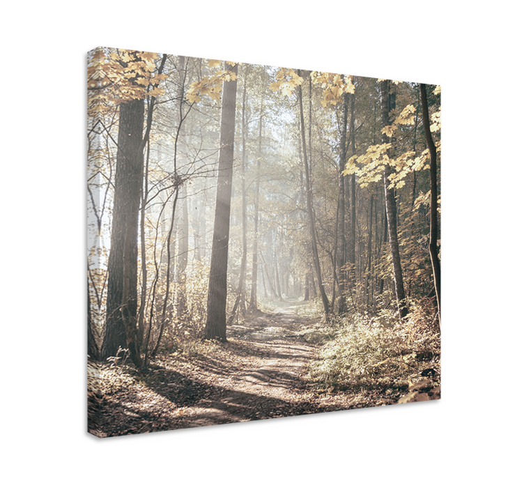 Mist covered path landscape canvas - TenStickers