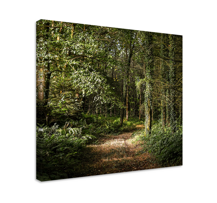 Landscape canvas woodland trail view - TenStickers