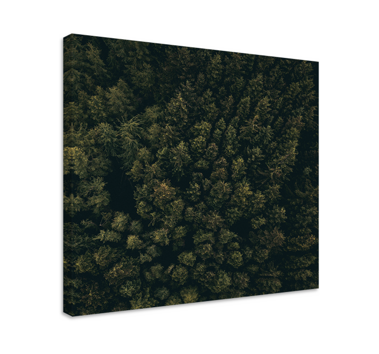 Tree canvas wall art lush forest canopy - TenStickers