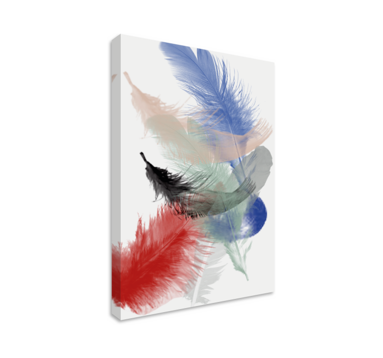 Feather canvas wall art colorful feather display - TenStickers