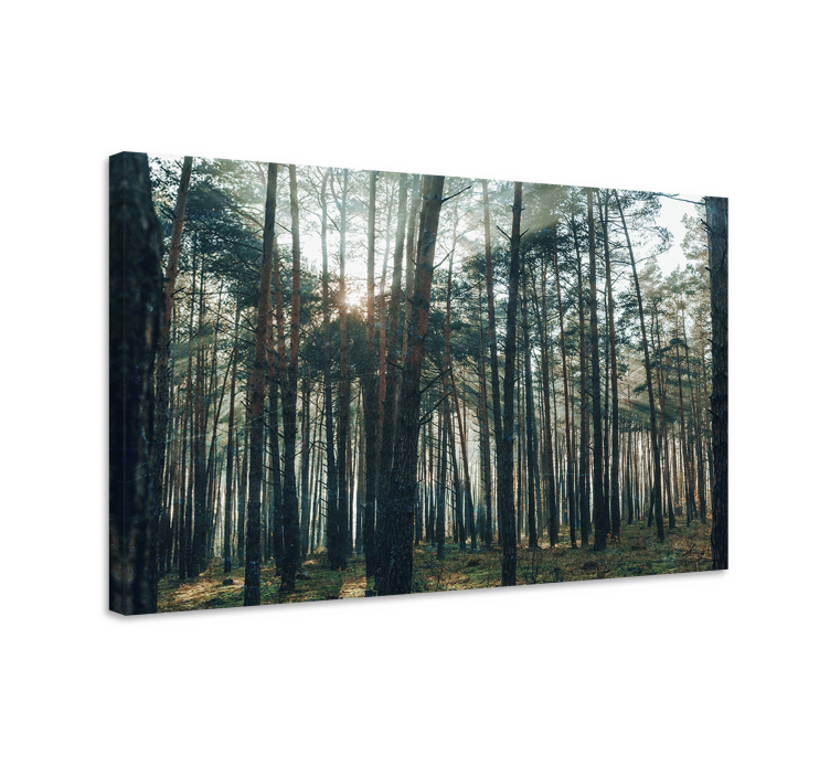 Majestic forest glow tree canvas wall art - TenStickers